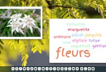 Digiscreen: un fond d’écran interactif pour la classe Digiscreen: un fond d’écran interactif pour la classe
