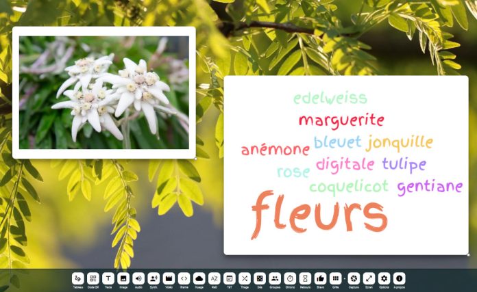 digiscreen