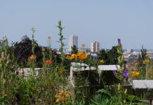 Les Buttes Chaumont Les Buttes Chaumont