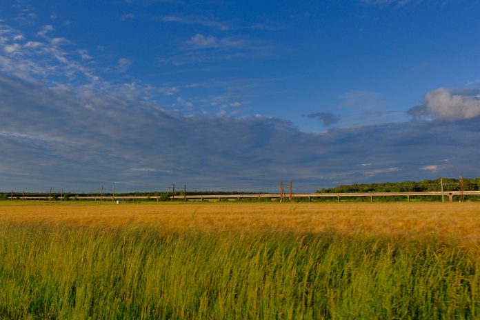 DSCF1170
