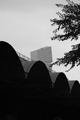 DSCF3341